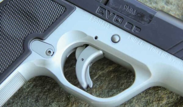 Kimber EVO SP (Two-Tone) - Image 3