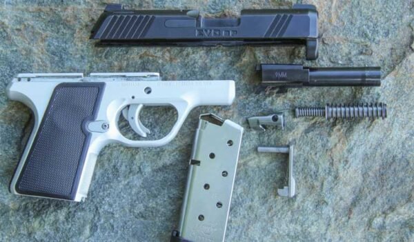 Kimber EVO SP (Two-Tone) - Image 2